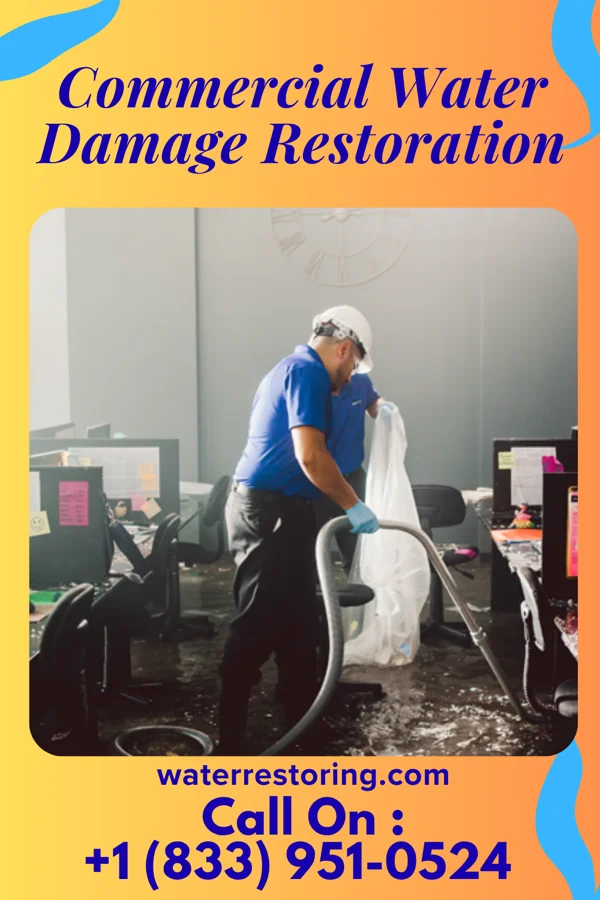 Commercial Water Damage Restoration in Niederwald, TX