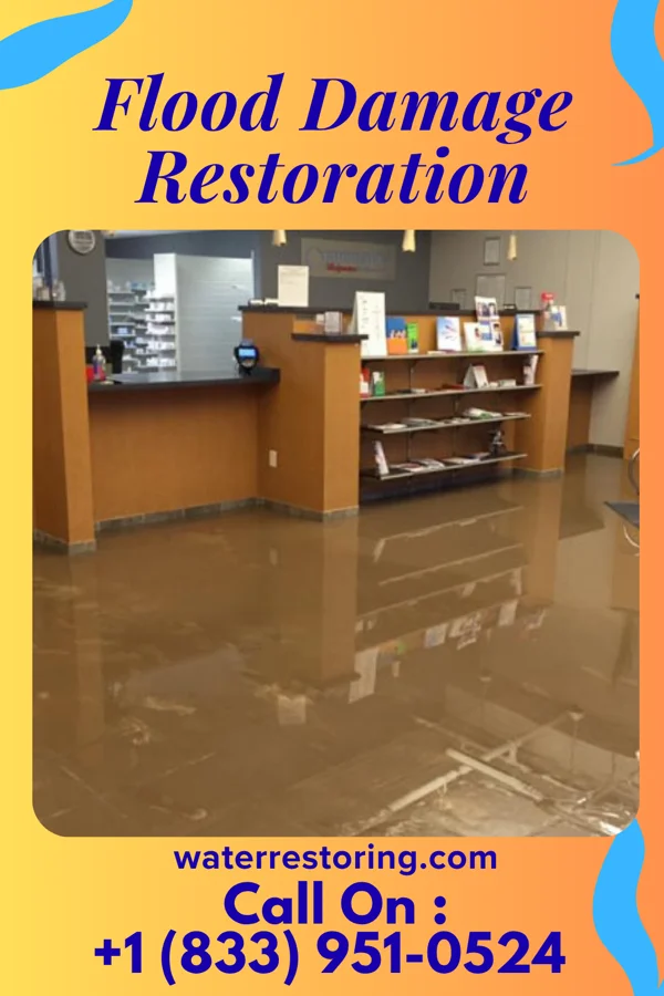 Flood Damage Restoration in Niederwald, TX